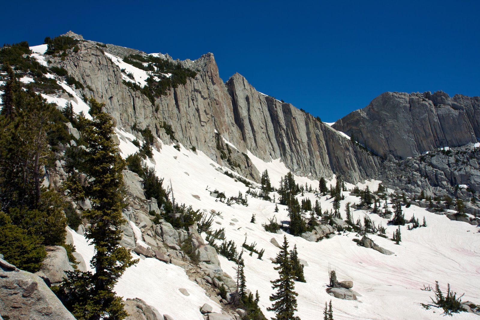 JTS Forklift: Sandy’s Trusted Forklift Repair & Maintenance Experts 