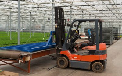 Forklift Repair Near Me: Common Breakdowns and Fast Fixes