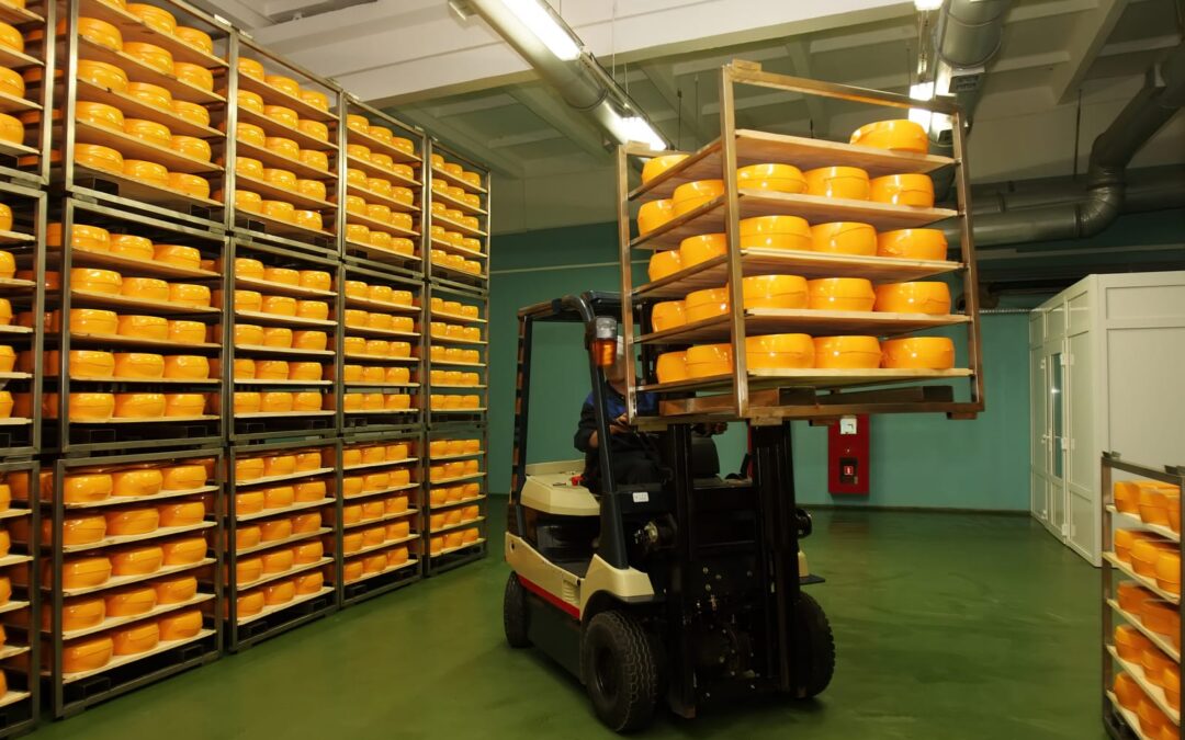 Forklift Service Repair vs Preventive Maintenance | JTS