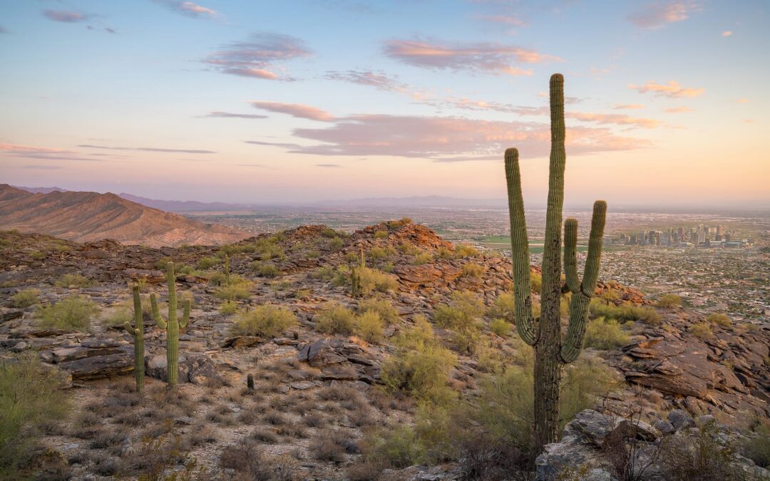Desert Forklift Maintenance Tips for Arizona Businesses