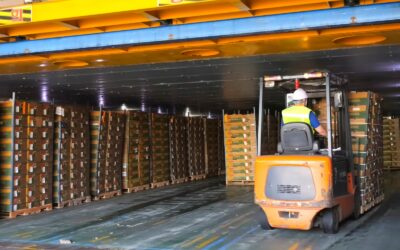 How Dust and Dirt Affect Forklift Equipment in Arizona